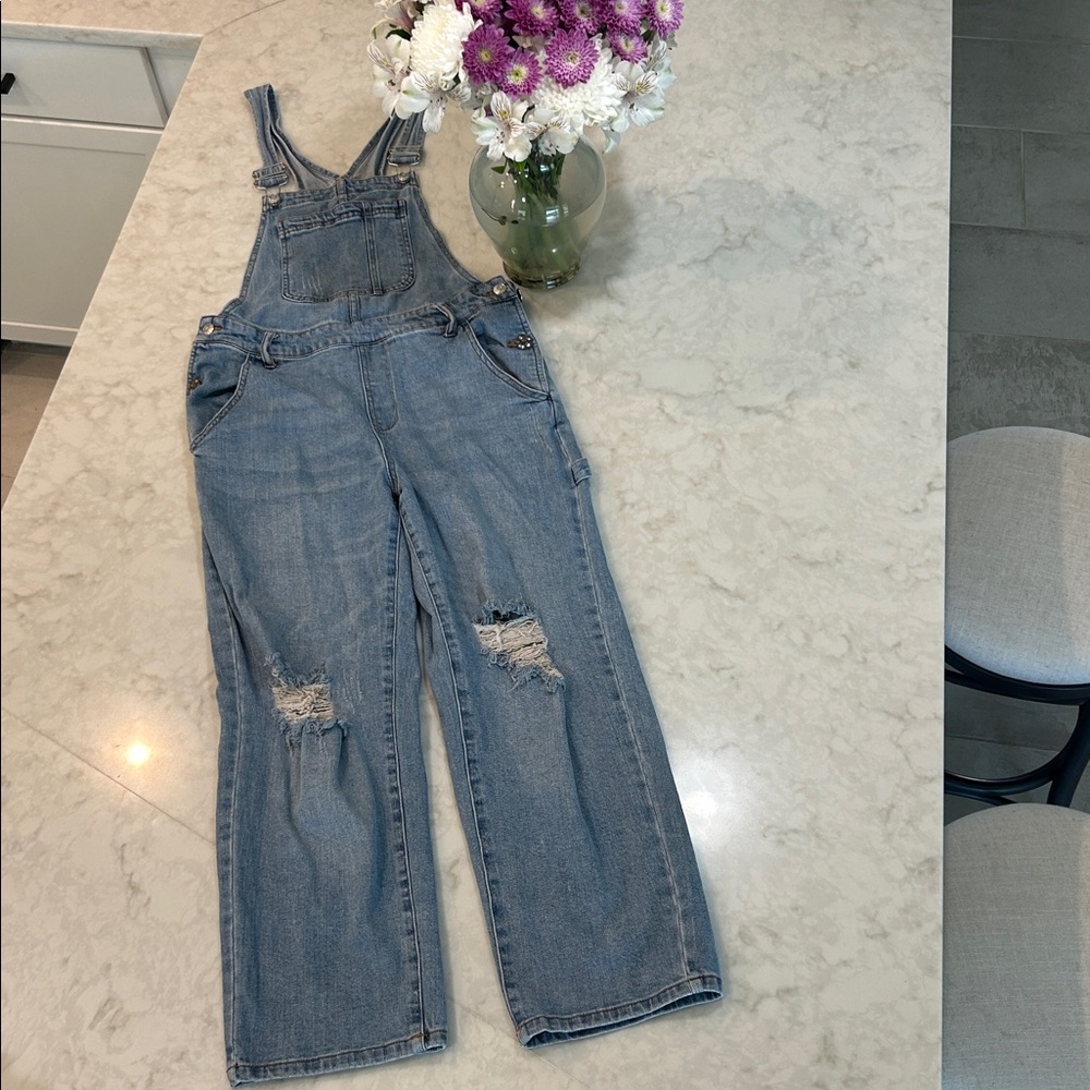 Wild Fable distressed overalls - Picture 2 of 8